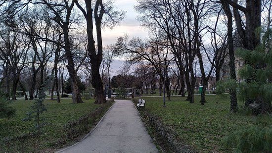 Piața Victoriei